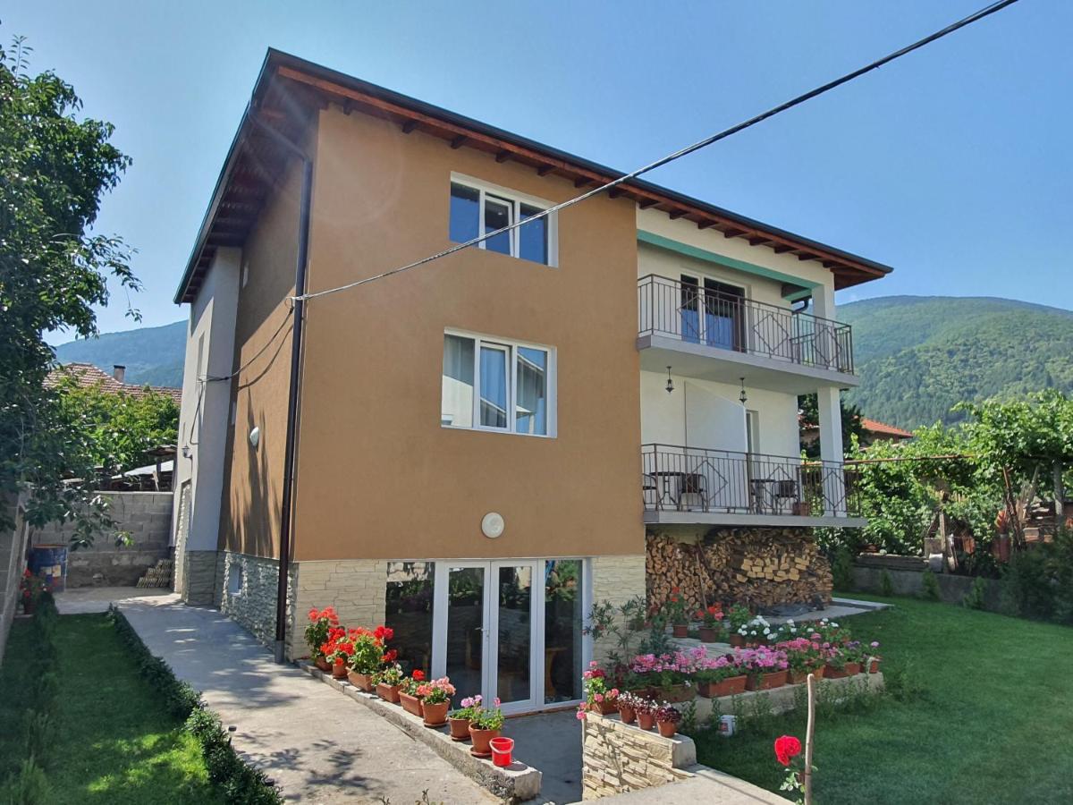 Дамяновата Къща Hotell Sapareva Banja Exteriör bild